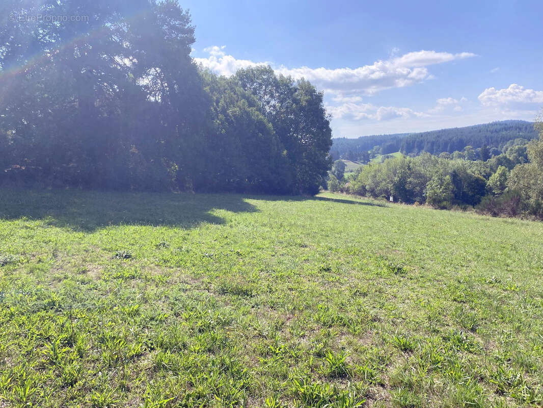 Terrain à CRAPONNE-SUR-ARZON