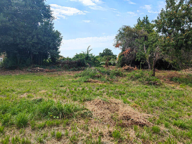 Terrain à SAUZE-VAUSSAIS