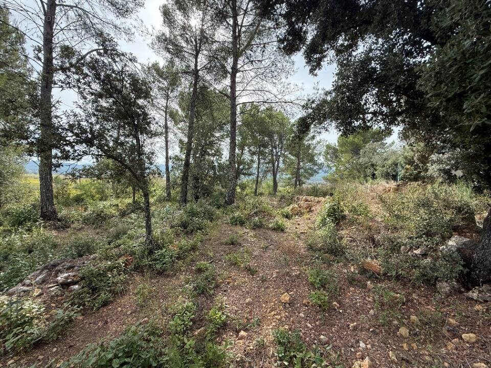 Terrain à SOLLIES-TOUCAS
