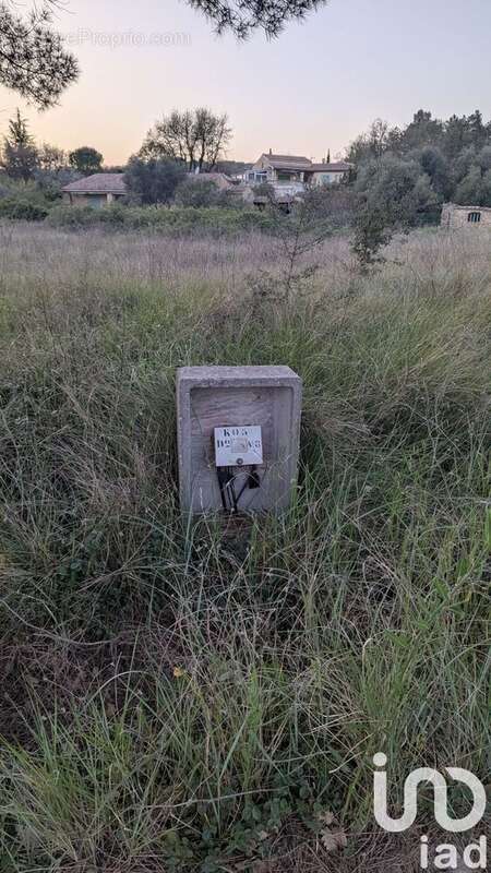 Photo 7 - Terrain à SABRAN