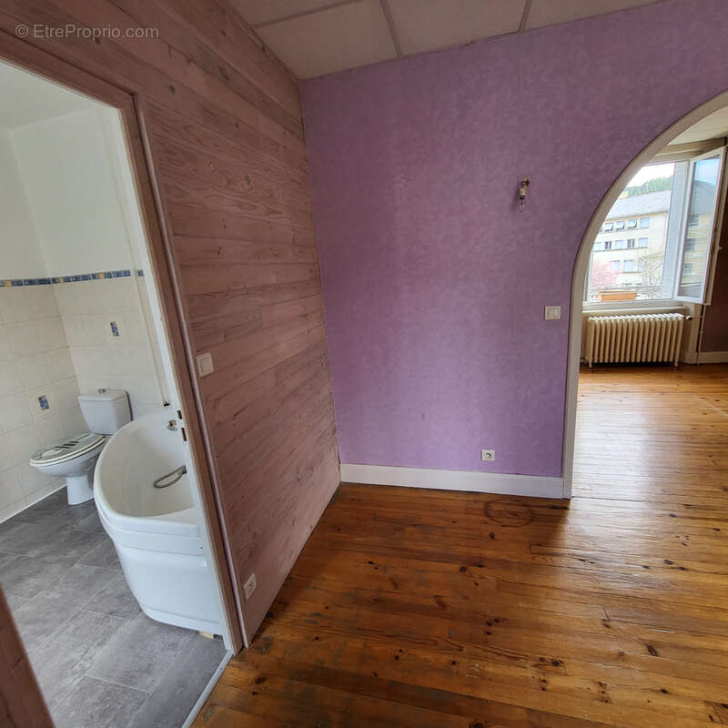 Immeuble RIOM-ES-MONTAGNES, idéal investisseur - photo 17