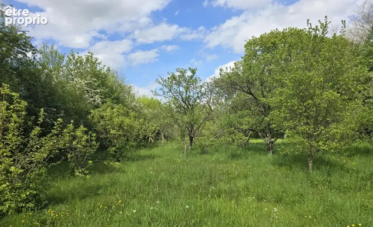 PRÉCIGNÉ   Terrain de loisirs / verger de plus de 1 800 m2 - photo 4