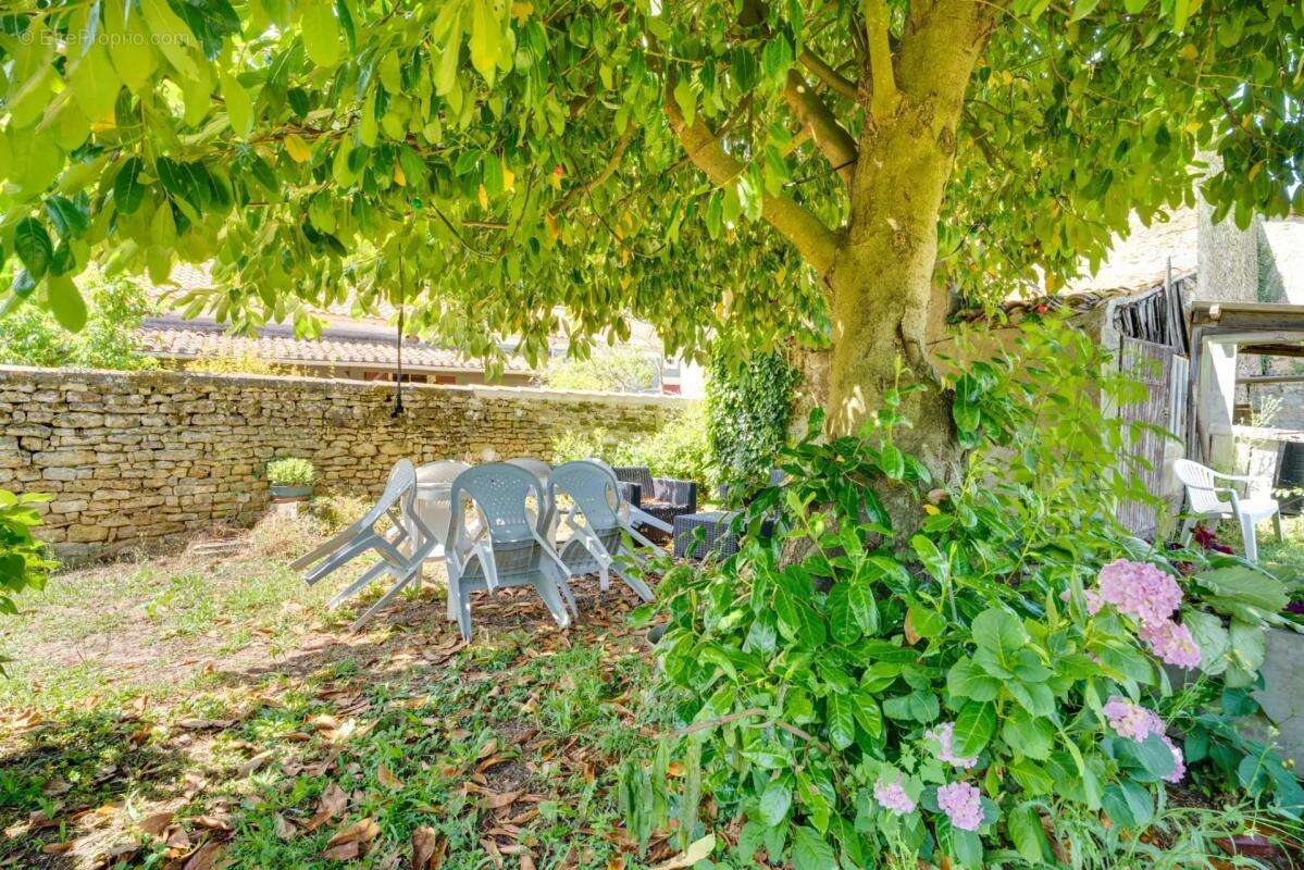 Maison de bourg avec dépendance et jardin – Saint-Juire-Champgil - photo 11