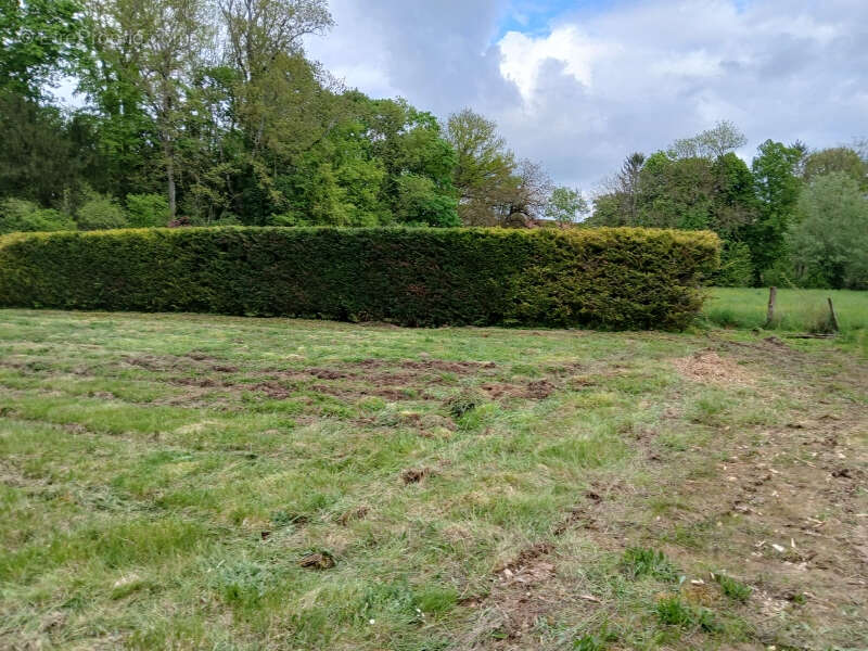 20 minutes de dijon - rare a la vente - terrain de 1ha15ares et 45ca - photo 4