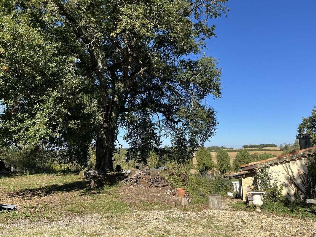 IMG0297 - Maison à CASTERA-VERDUZAN