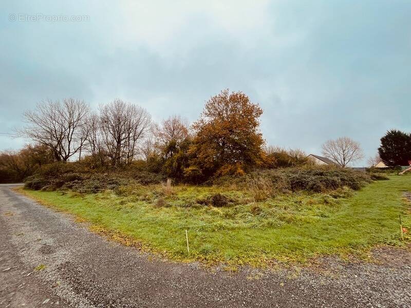 Terrain à COURS-LES-BARRES