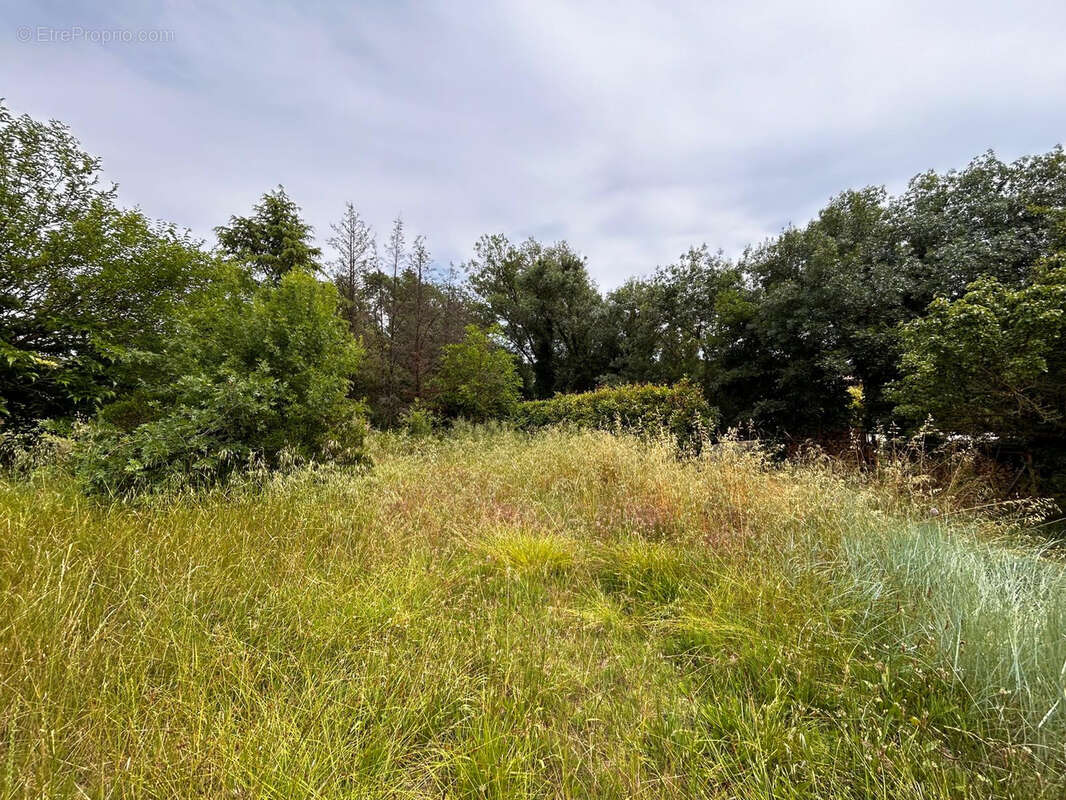 Terrain à PRADES-LE-LEZ