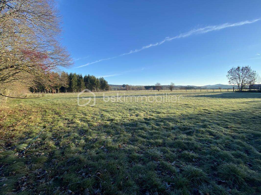 Terrain à SAINT-PAULIEN