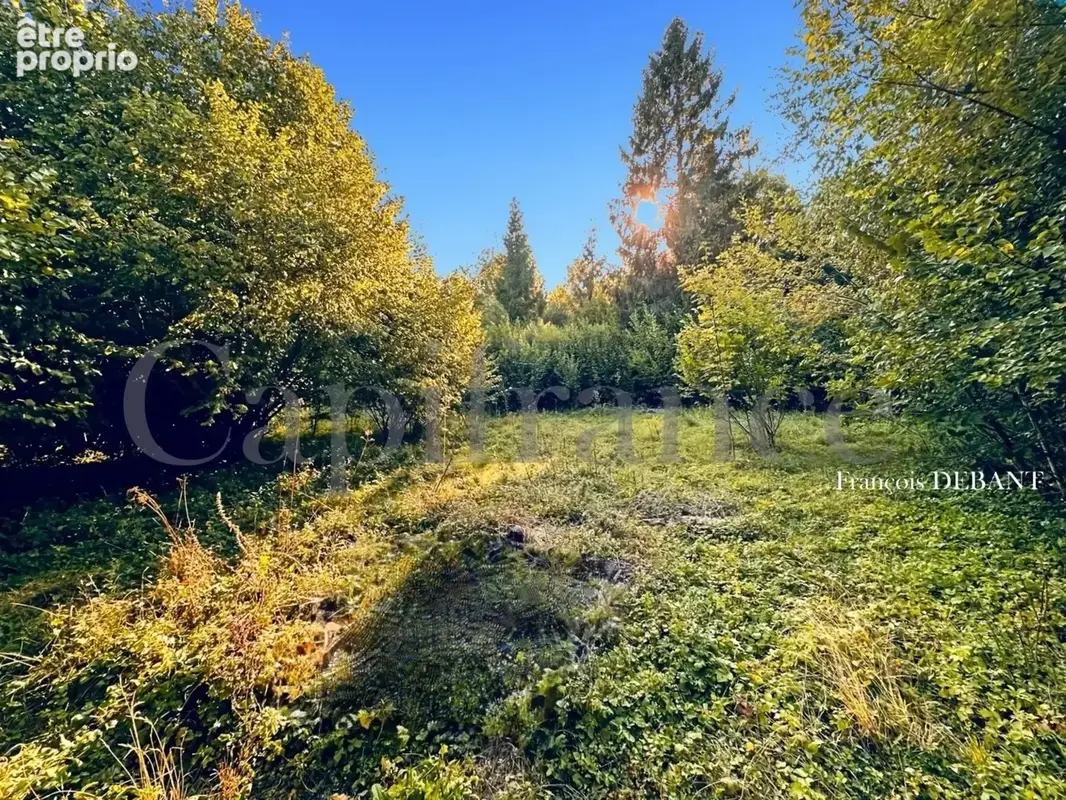 Terrain à vendre de 4 900,00 m² proche de REIMS (51) - photo 12