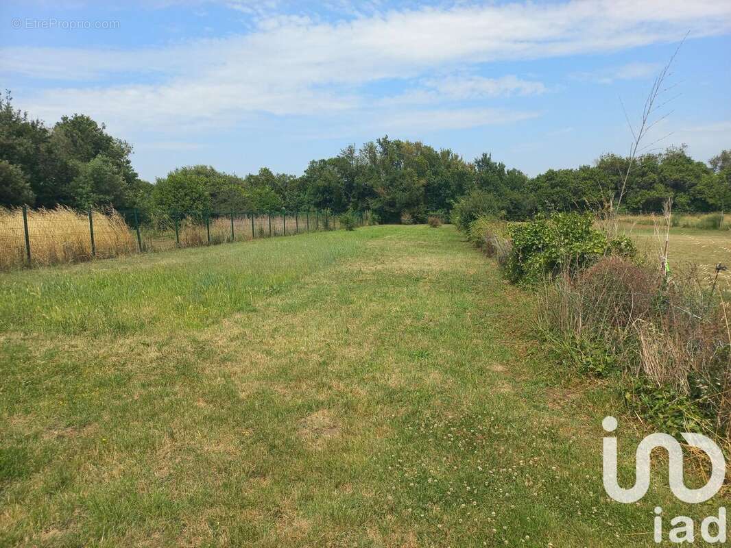 Photo 6 - Maison à LE CHATEAU-D'OLERON