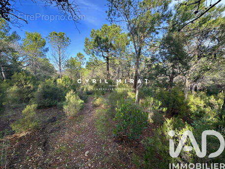 Photo 1 - Terrain à SIX-FOURS-LES-PLAGES