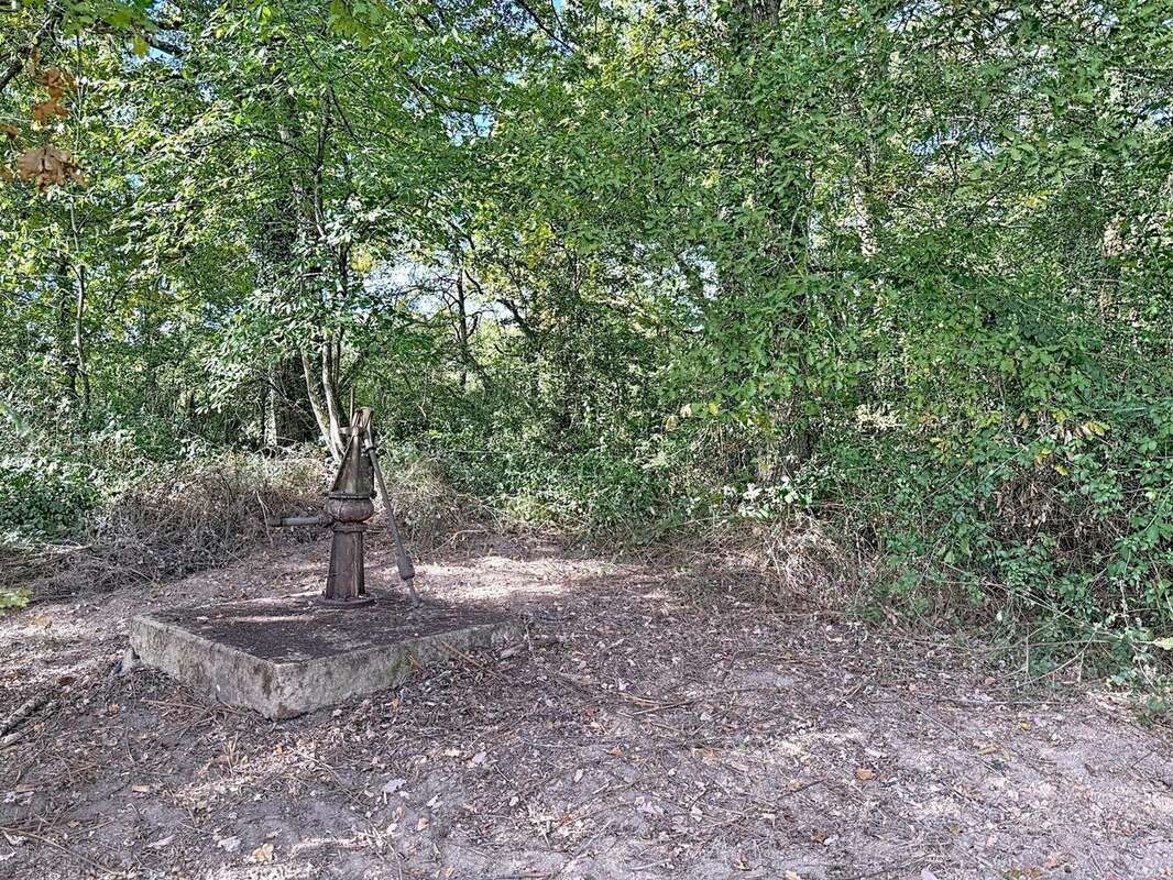 Photo 4 - Maison à LE FOUSSERET