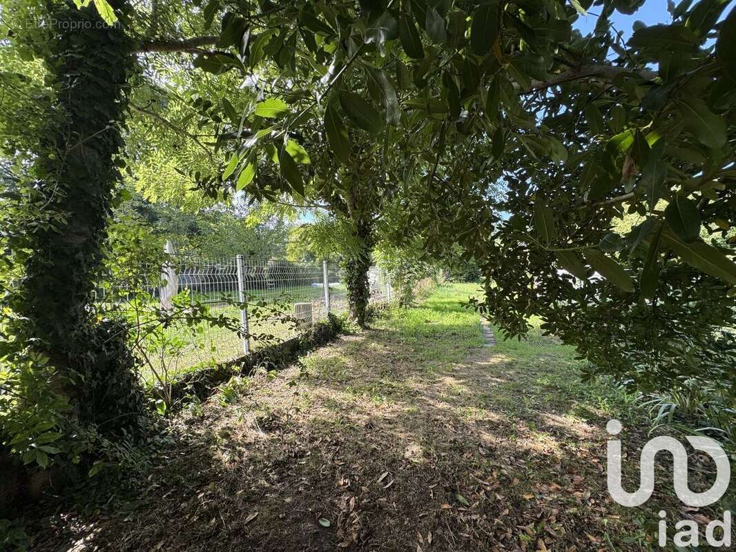 Photo 3 - Maison à LAVELANET