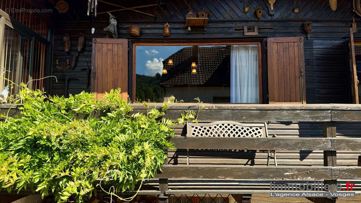 Maison 65 m² à Sainte-Croix-Aux-Mines  - photo 9