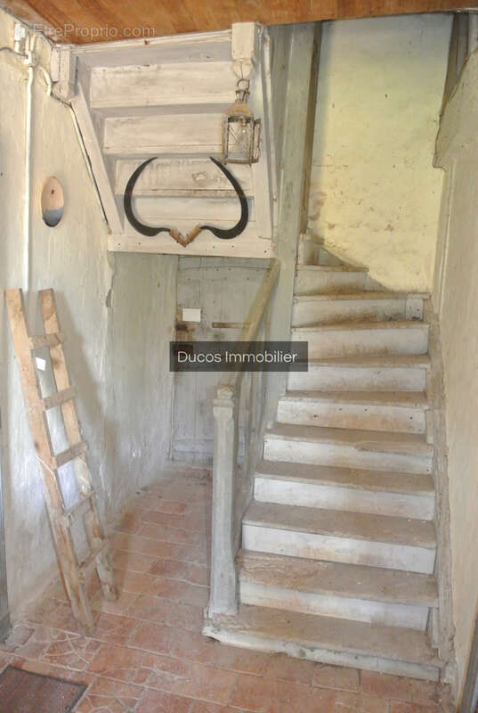 Maison à ESCASSEFORT