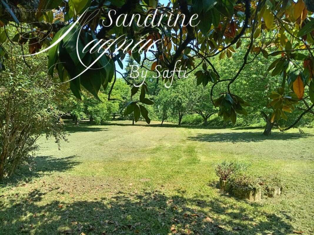 Maison 165 m² à Marnac  - photo 7