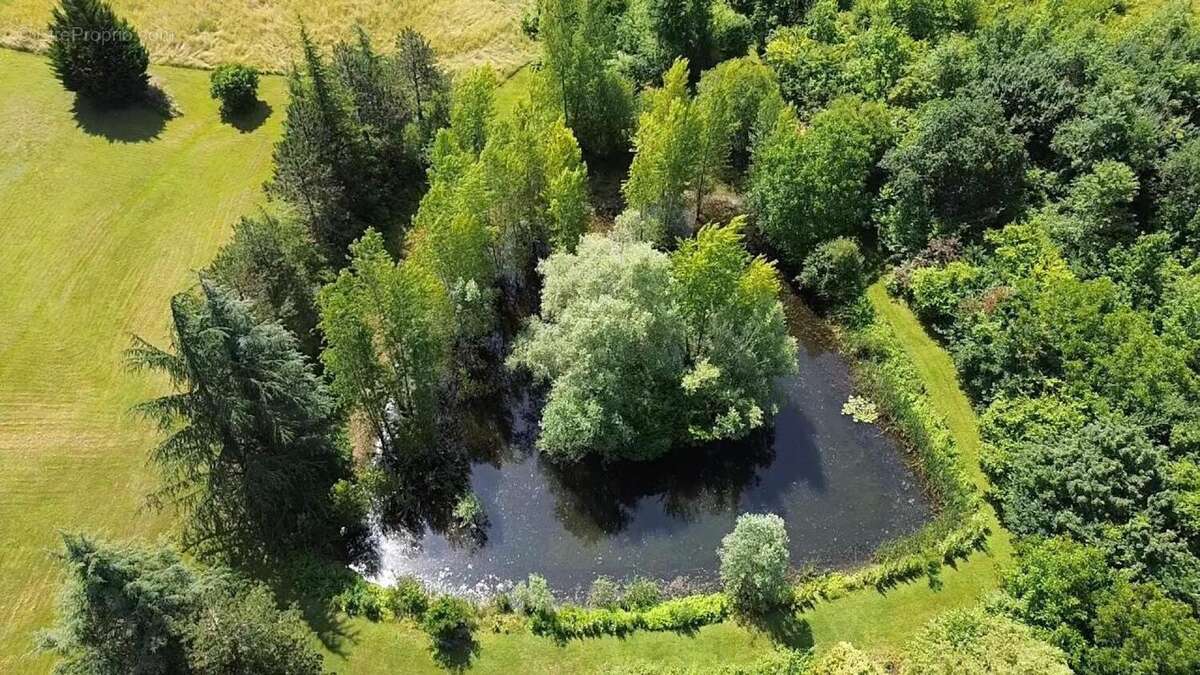 Photo 4 - Maison à FOULAYRONNES