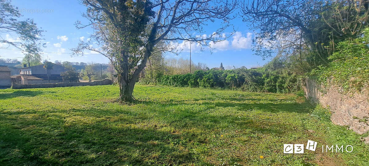 Terrain à SAINT-JULIEN-SUR-GARONNE