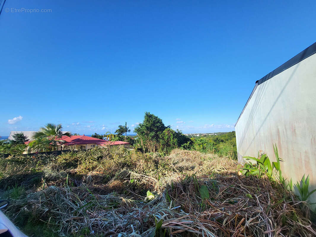 Terrain à SAINTE-SUZANNE
