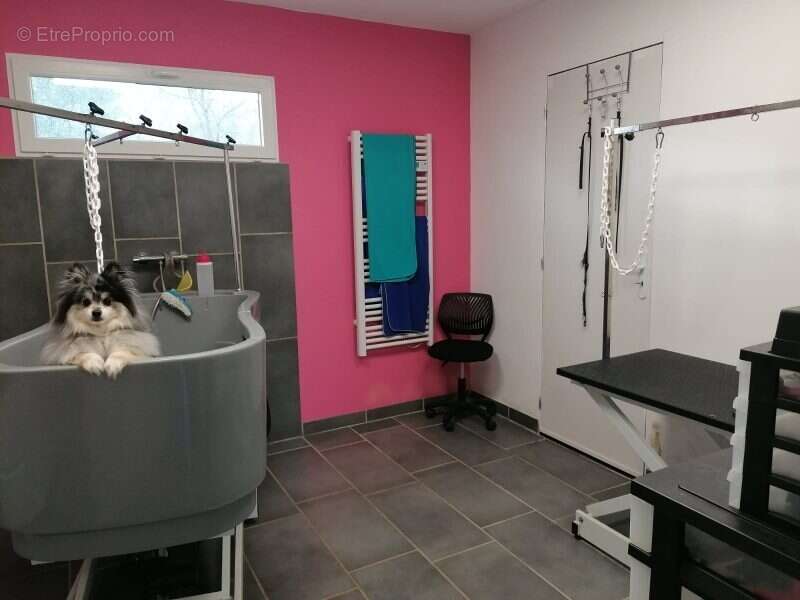 Maison à MAROLLES-LES-BRAULTS