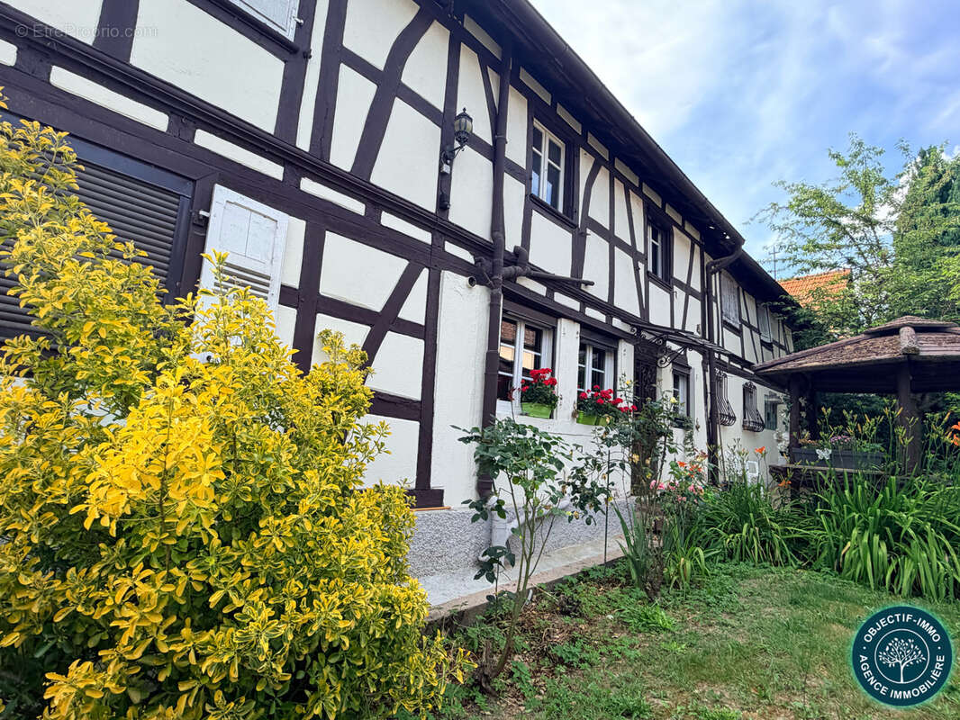 COUP DE CŒUR AU KOCHERSBERG — Authentique corps de ferme alsacien sur 14,93 ares - photo 6