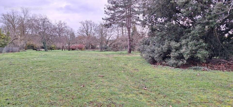 Terrain à TOURNEFEUILLE