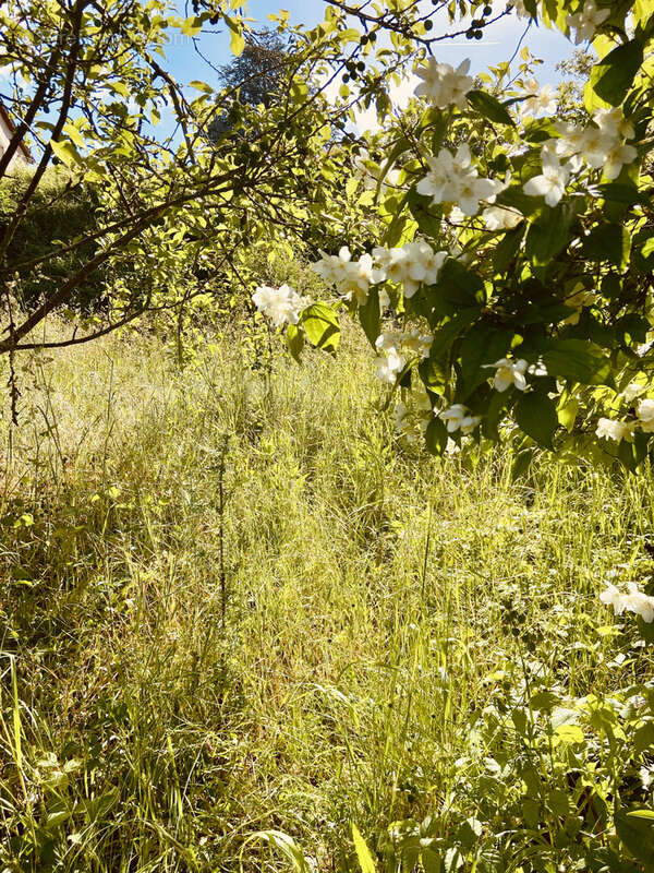 Maison à MONTOIRE-SUR-LE-LOIR