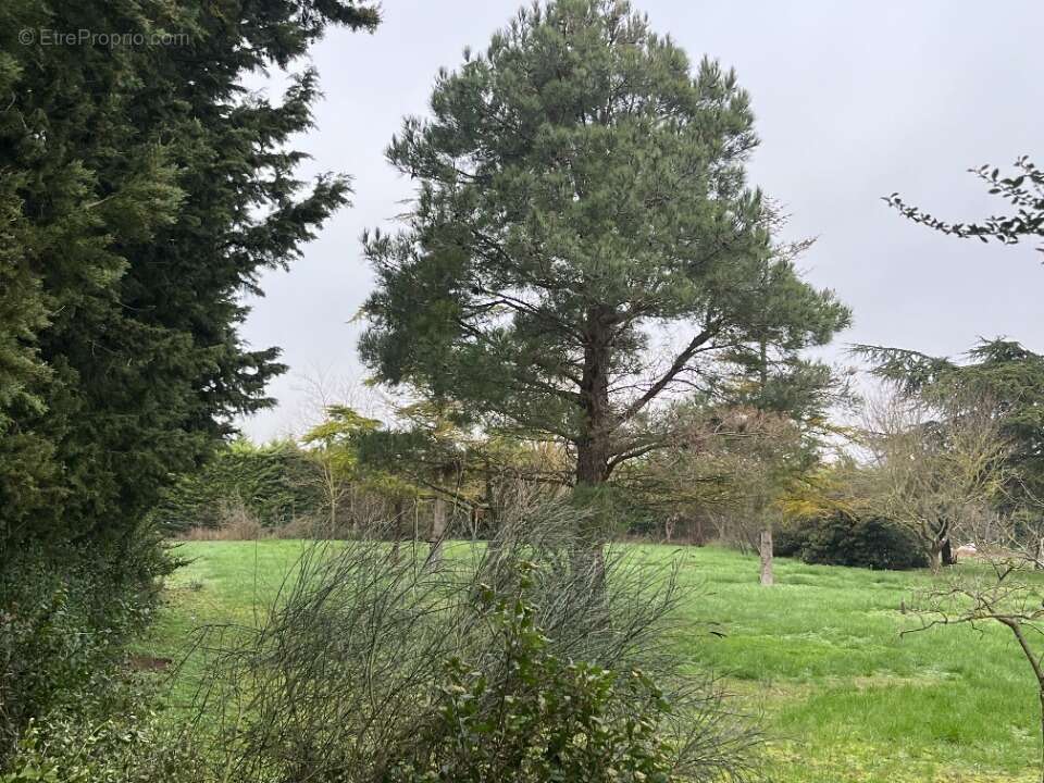 Terrain à VILLENEUVE-LA-COMPTAL