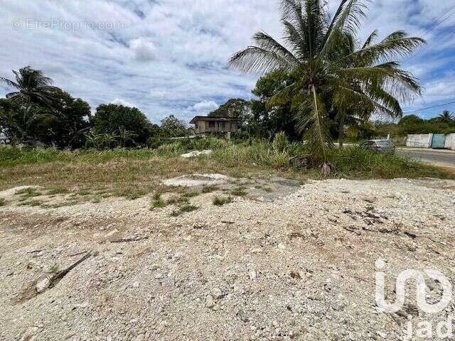 Photo 2 - Terrain à PORT-LOUIS