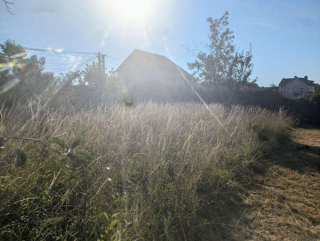 Terrain à DOLE