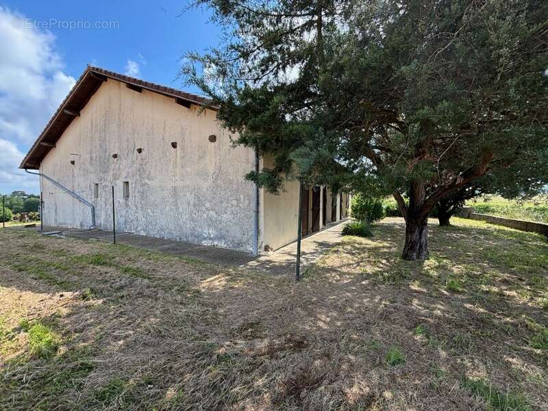 Maison traditionnelle 6 pièces à Tilh - photo 15