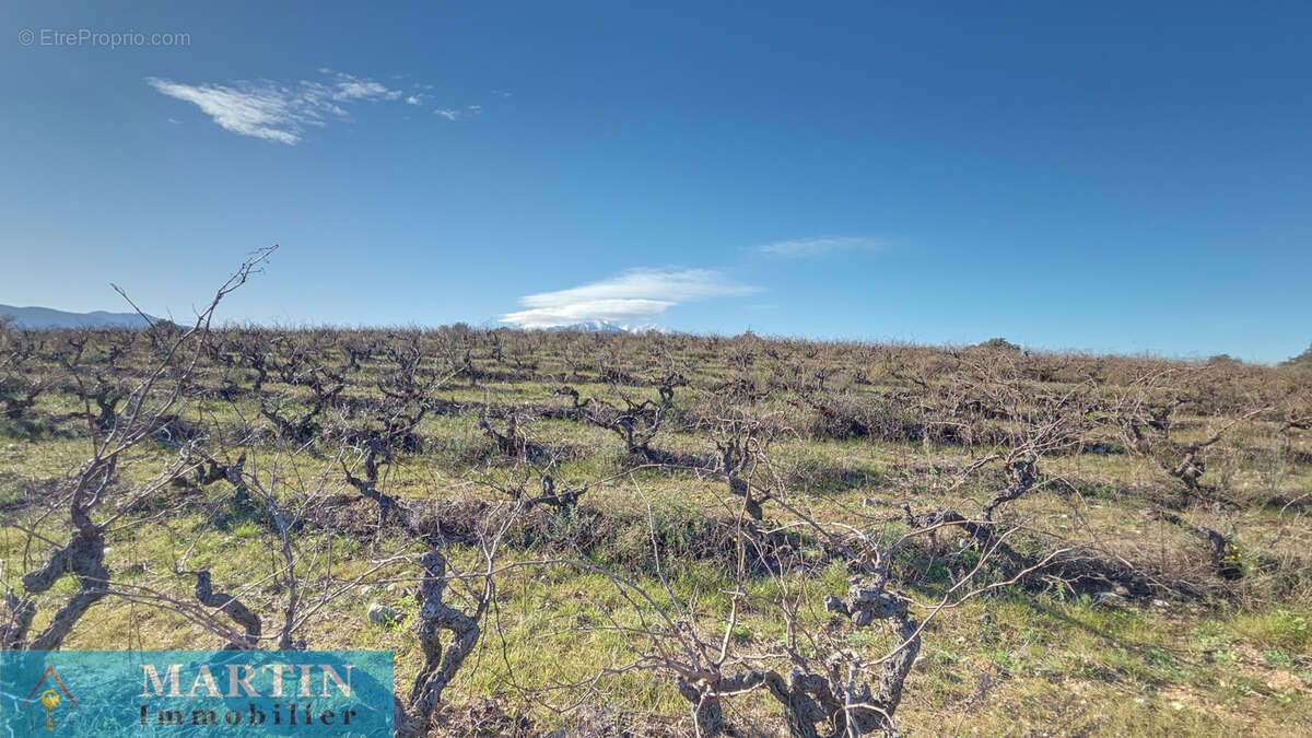 Propriété rurale agricole - photo 13