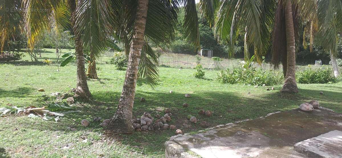 Maison à GRAND-BOURG