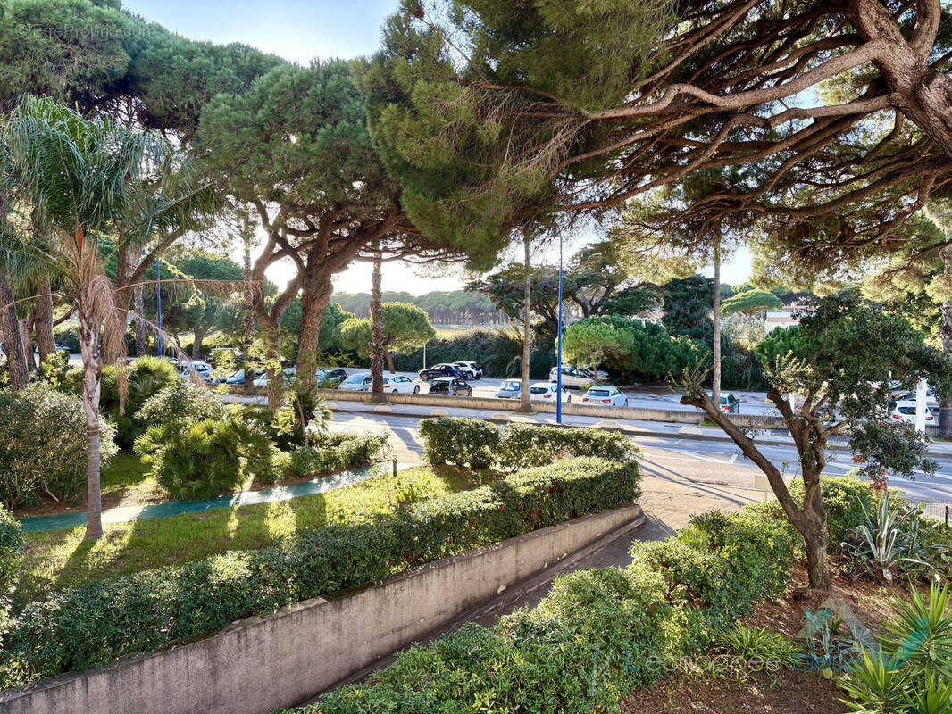 Photo Appartement à Hyeres au prix de 390 000€