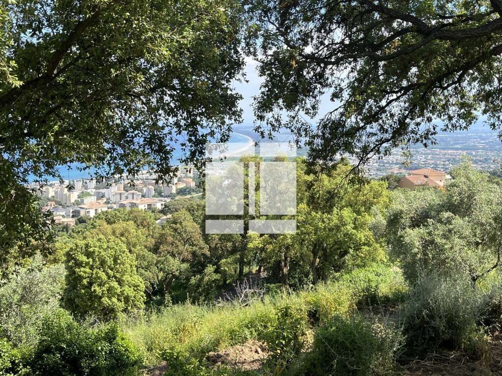 Terrain à BASTIA