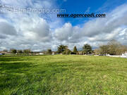 Terrain à SAINTE-NEOMAYE