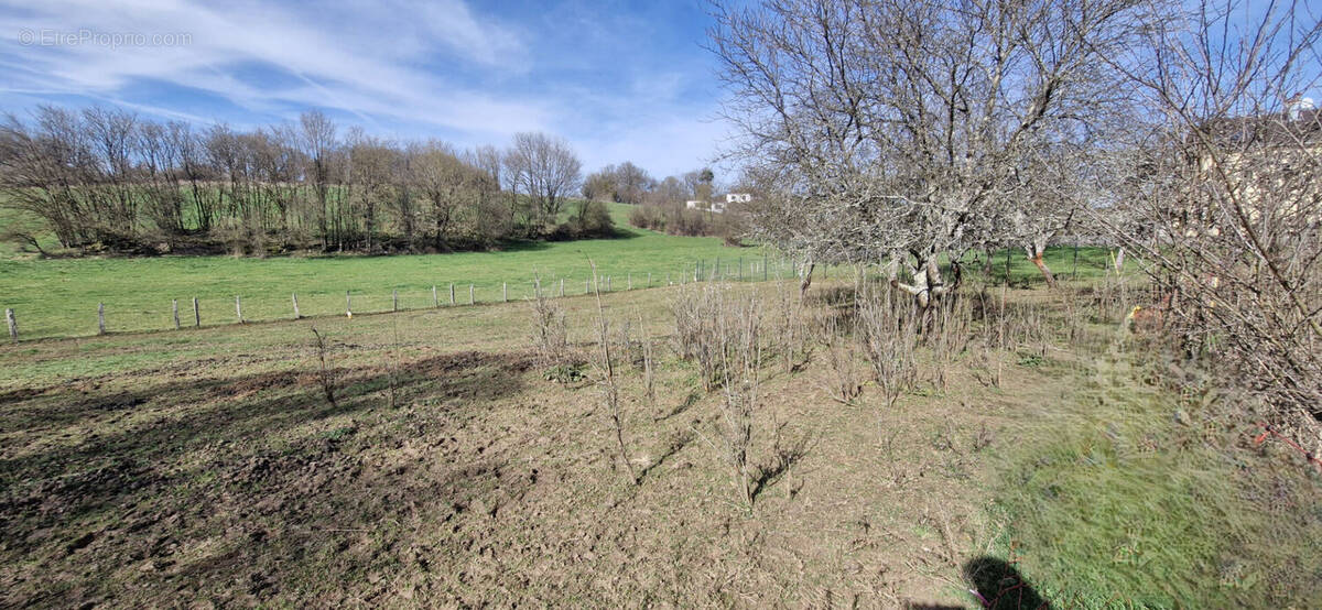 Terrain à SAINT-VIT