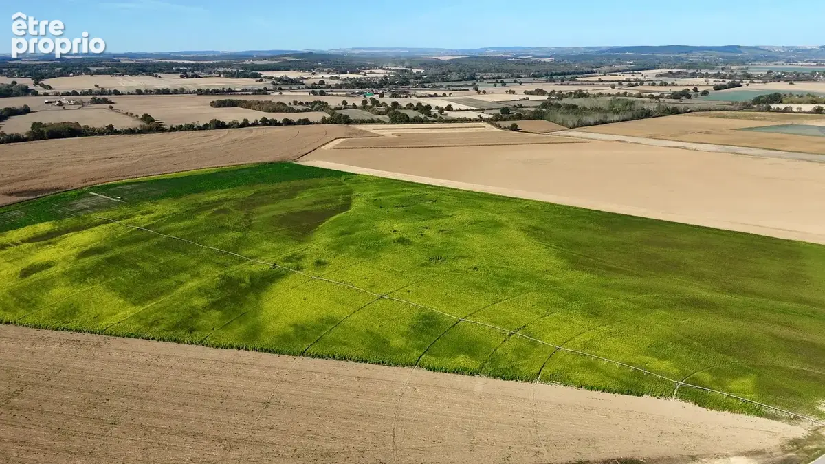 196 hectares d’un seul tenant avec potentiel sablier - photo 2