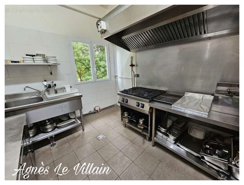 Commerce à VIEUX-HABITANTS