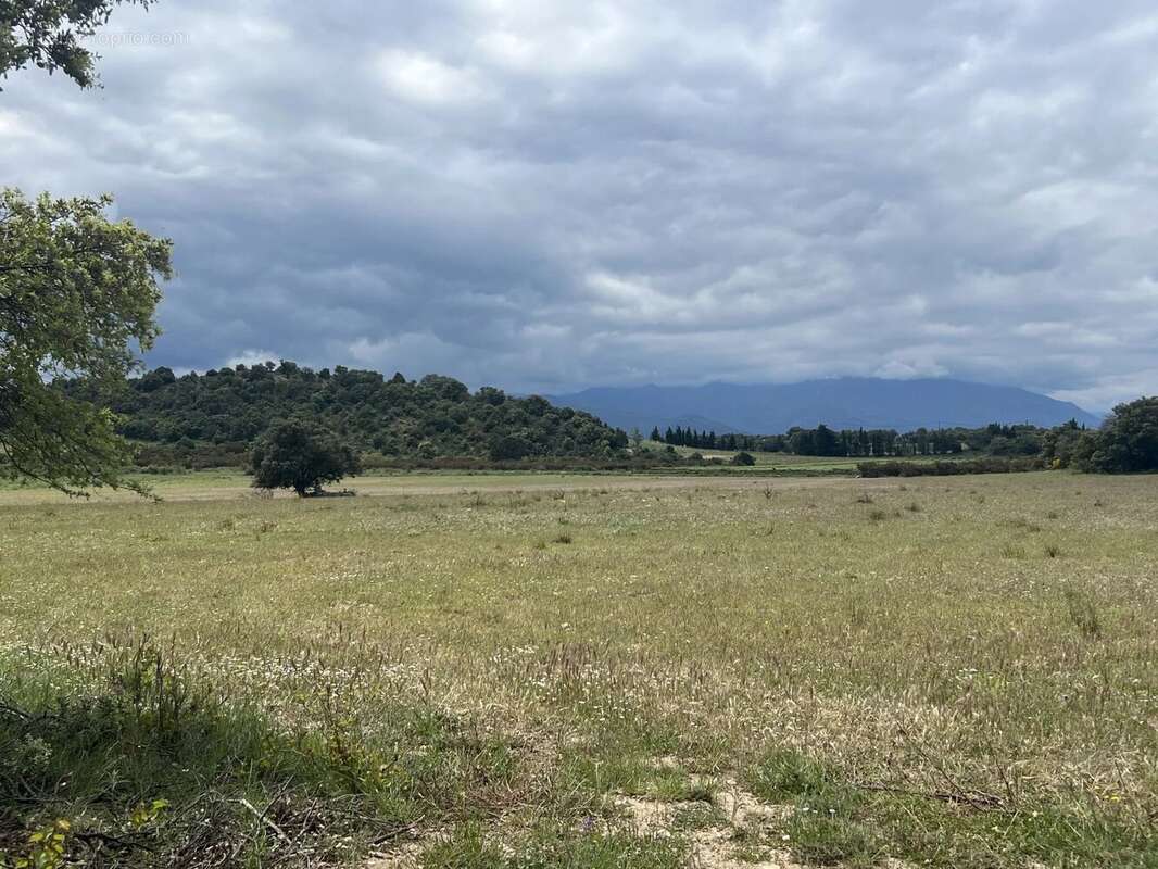Maison à ILLE-SUR-TET