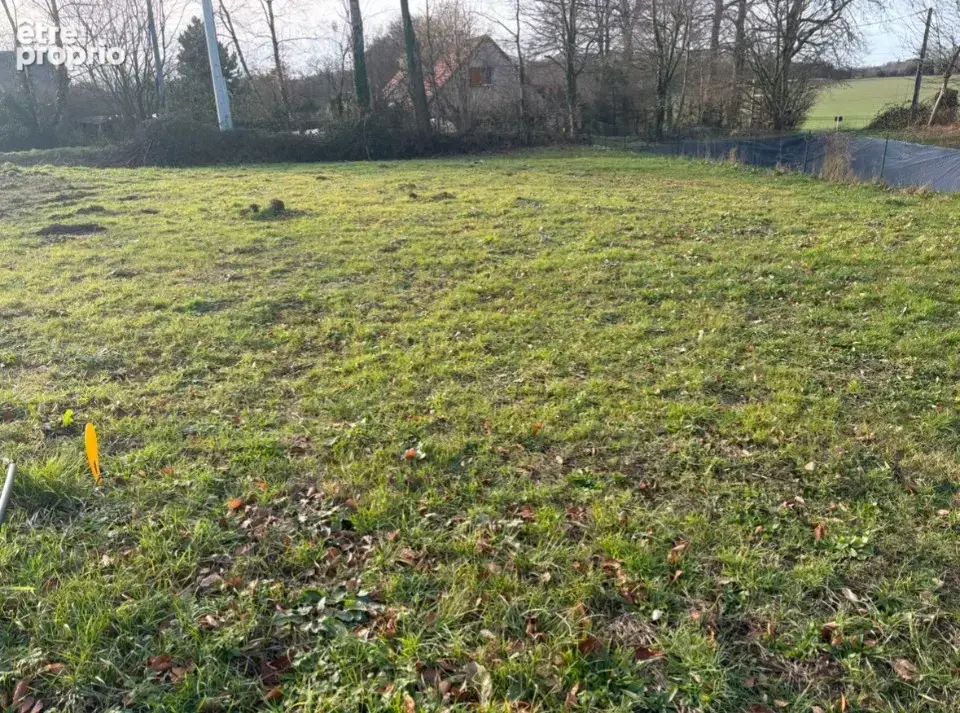 Terrain à VIBEUF