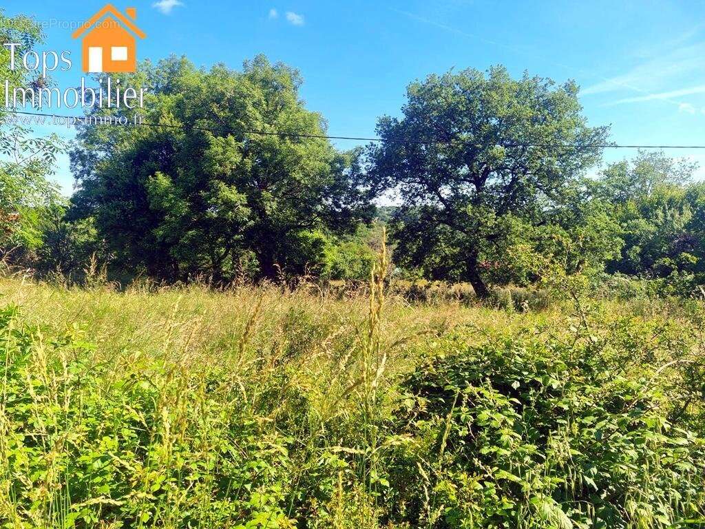 Terrain à PUYJOURDES