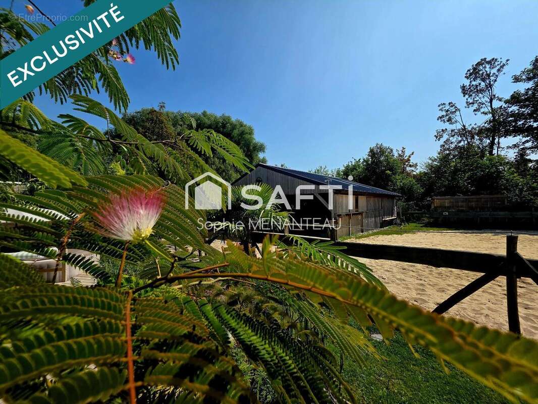 Photo 9 - Maison à MERLIMONT