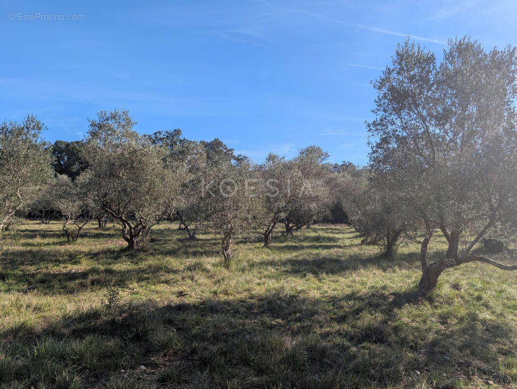 Terrain à SAUVE