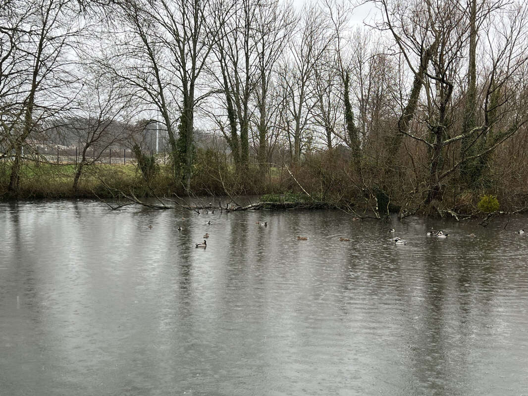 Autre à COULANGES-LES-NEVERS