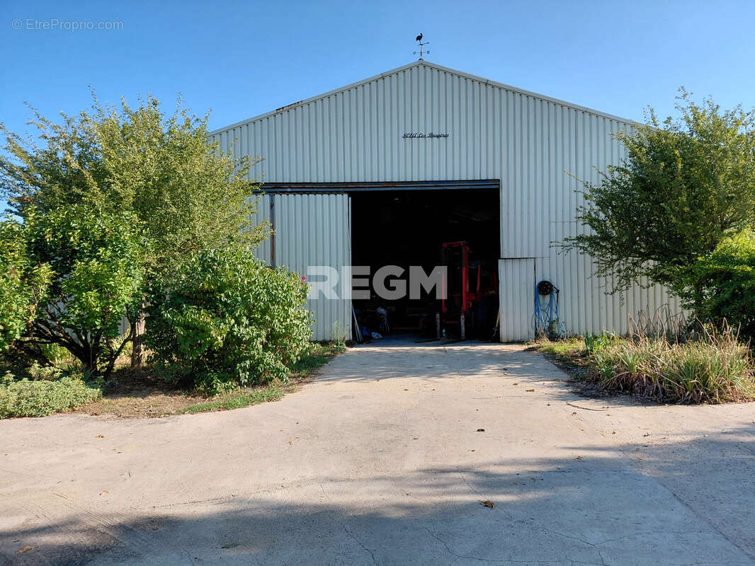 Très bel ensemble immobilier, comprenant maison avec piscine dans parc, grande serre pour tous légumes, hangar - photo 15