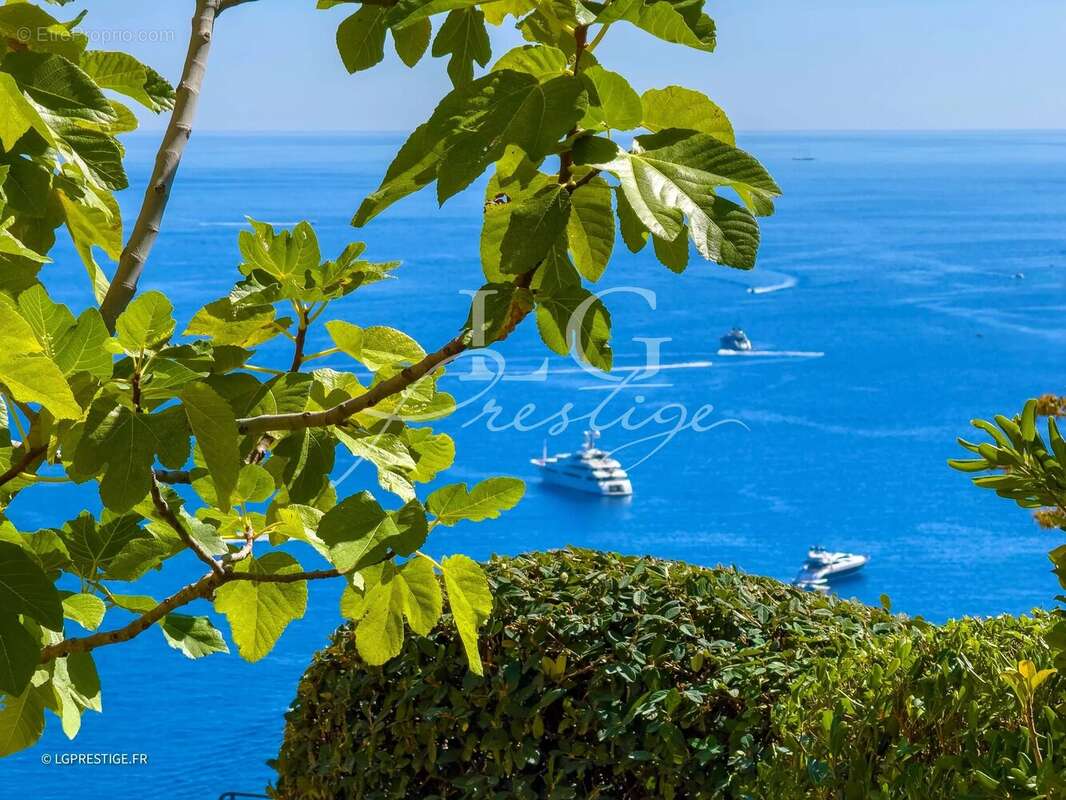 Maison à THEOULE-SUR-MER