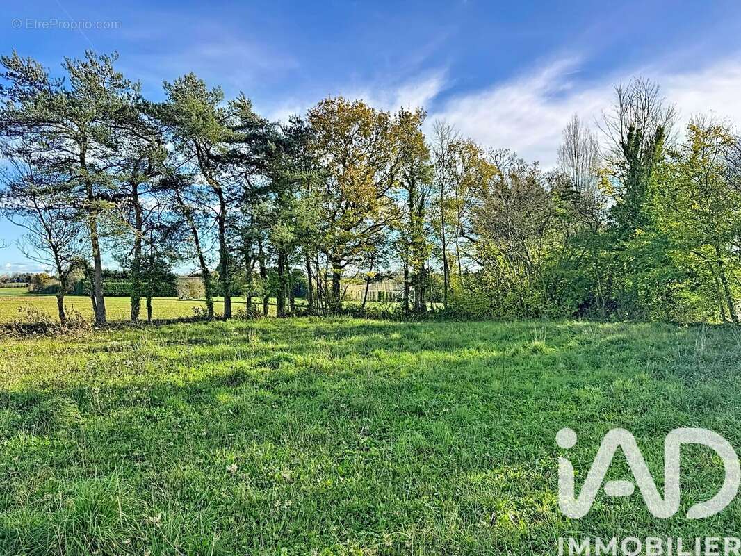 Photo 1 - Terrain à PLELO