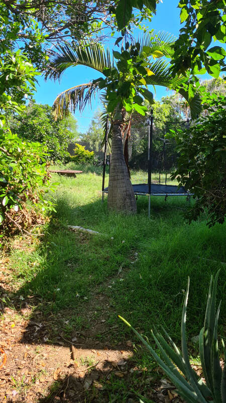 Maison à SAINT-PAUL