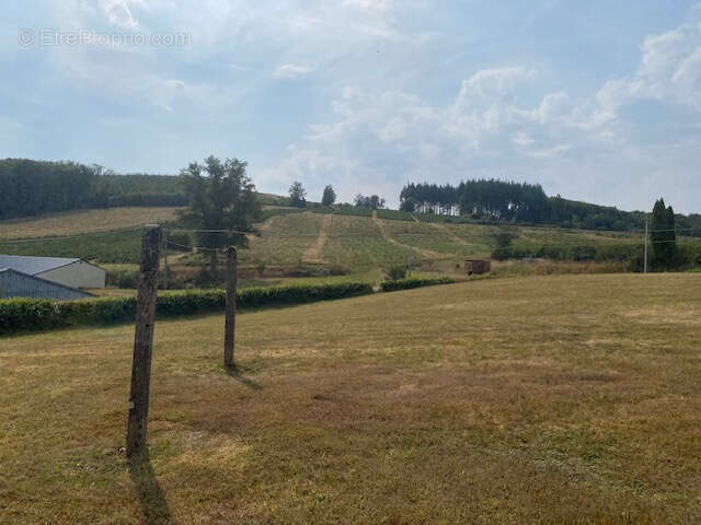 Maison à MONTSAUCHE-LES-SETTONS
